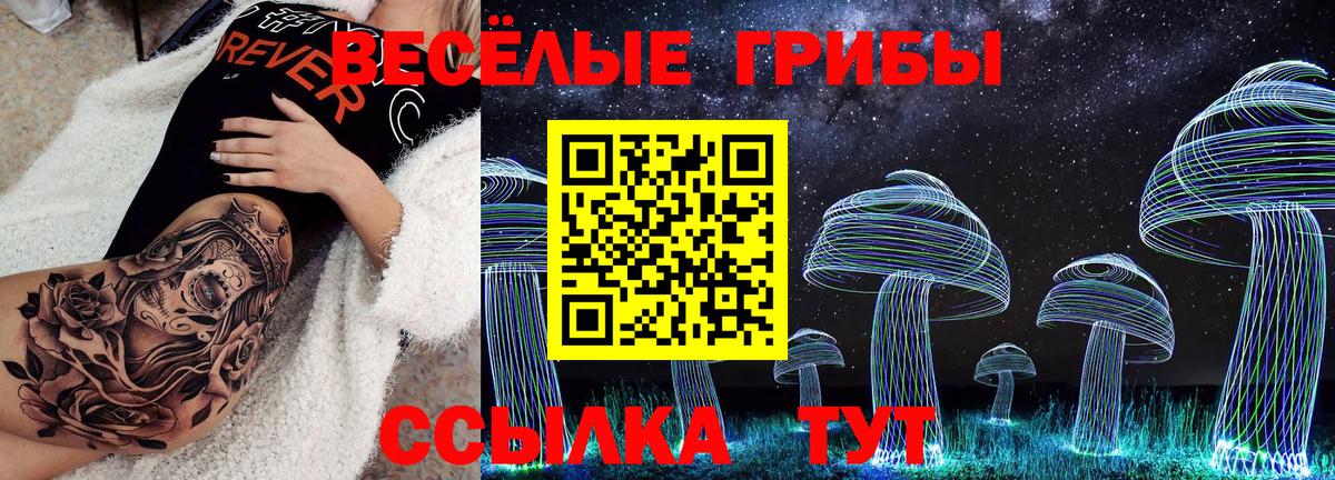 Галлюциногенные грибы Psilocybe Новочеркасск